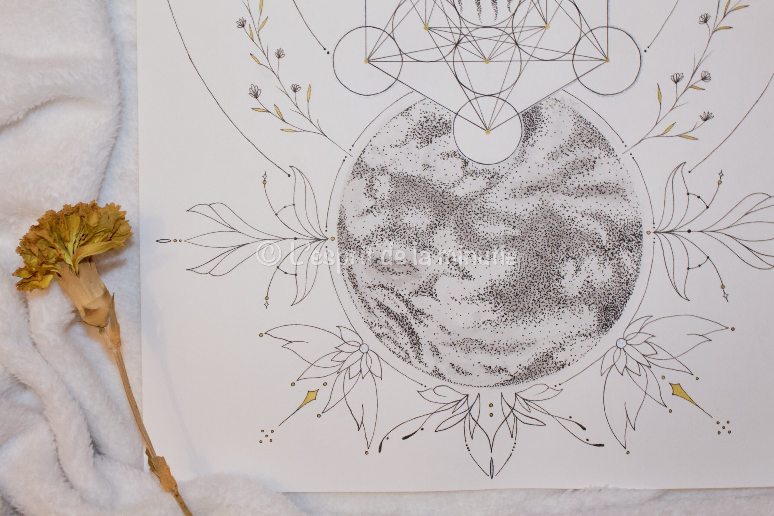 Le monde en harmonie – Image 2