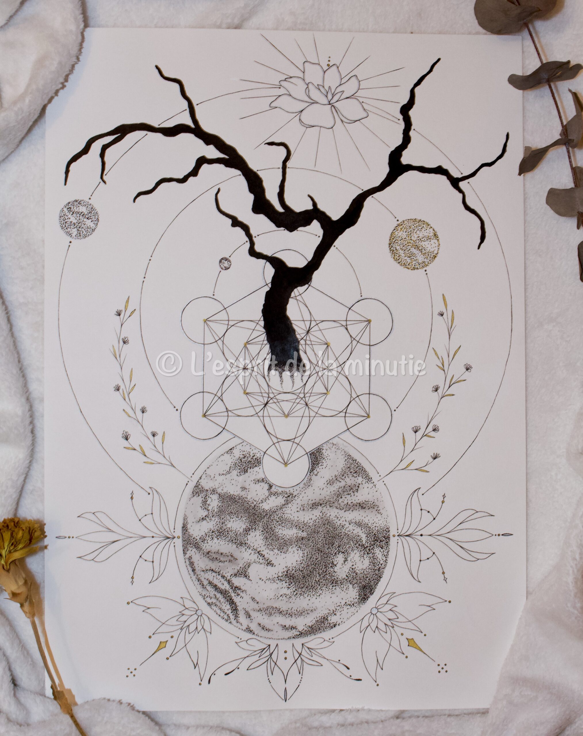 Le monde en harmonie